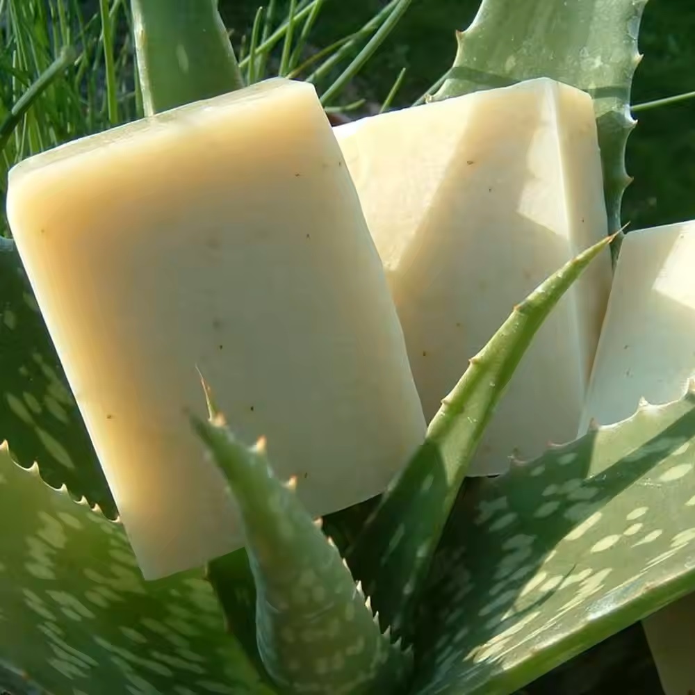 Organic Aloe Vera Face Soap Body Soap